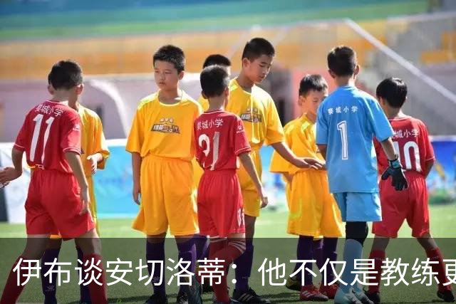 伊布谈安切洛蒂：他不仅是教练更是管理者 执教巴西对他是挑战